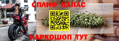 тгк Пушкино