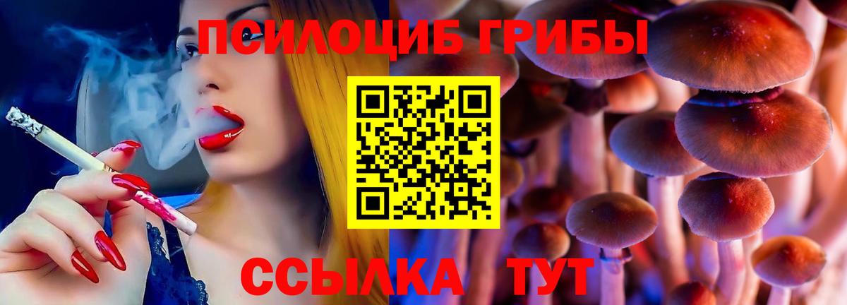 Галлюциногенные грибы мухоморы Россошь